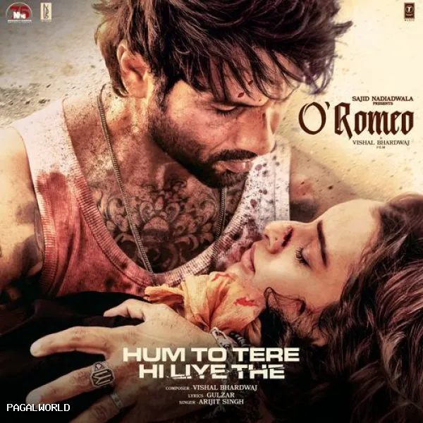 Hum To Tere Hi Liye The